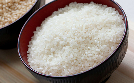 石原果樹園の備前乙女米 白米 30kg×1袋 ※11月上旬～順次発送予定 お米 精米 白米 ライス  乳酸菌栽培 岡山県 おにぎり お弁当