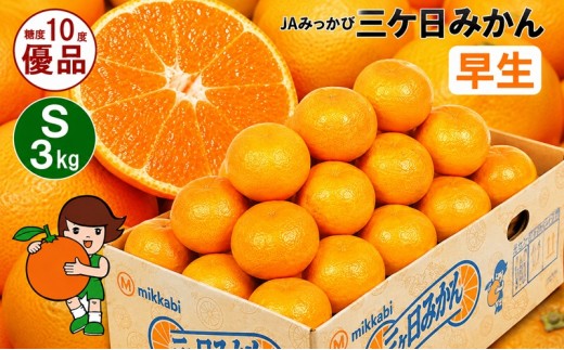 
                  三ケ日みかん 早生【優品】Sサイズ3kg(36個前後) ミカン 果物 くだもの フルーツ 甘い 静岡県 浜松市 果物類 柑橘類 
                