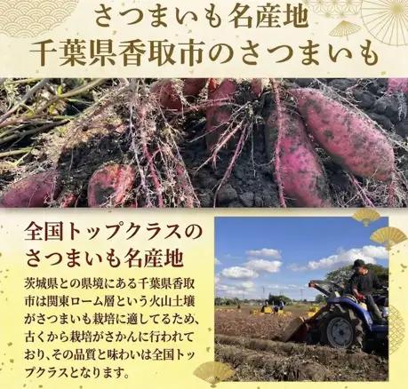 紅はるか 5㎏ 【SDK001】紅はるか
