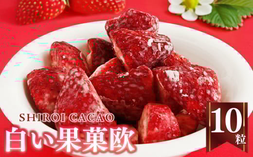 白い果菓欧【大粒】（1箱10粒入り） | お菓子 おかし オカシ フルーツ 果物 くだもの いちご イチゴ 苺 ストロベリー 奈良県 五條市 チョコレート スイーツ ギフト オシャレ スイーツ 洋菓子 バレンタイン ホワイトデー ギフト