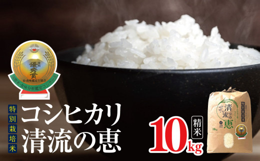 *【令和6年度産】特別栽培米 コシヒカリ 清流の恵 10kg | 米 お米 コメ こめ 精米 白米 はくまい コシヒカリ 長野県 松川村 優秀賞 信州