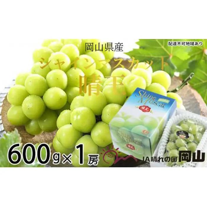 ぶどう 2026年 シャインマスカット 晴王 約600g×1房 葡萄  岡山県産 国産 フルーツ 果物 ギフト シャインマスカット　