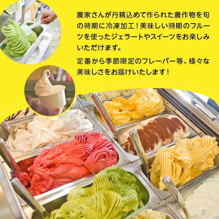 ジェラート定期便12回