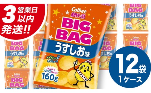 
                  【最短3営業日！スピード発送】 カルビー ポテトチップス BIGBAG 160g うすしお味 1ケース ( 12袋 )  ポテチ お菓子 おかし 大量 スナック おつまみ ジャガイモ じゃがいも まとめ買い 数量限定
                
