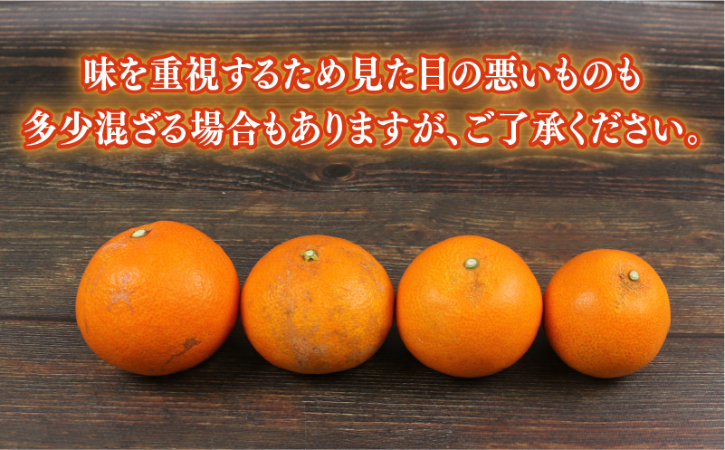 愛果28号 2.5kg 愛媛みかん 兵頭農園 先行予約 みかん mikan 愛媛ミカン あいか 高級柑橘 愛媛蜜柑 果物 フルーツ 柑橘 みかん 高級 ブランド ゼリー プルプル 甘い 美味しい 人気