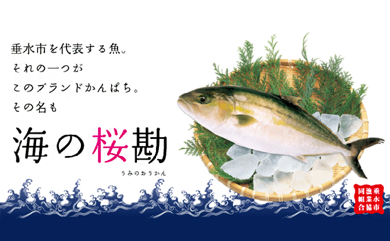 A1-0123／カンパチ頭煮付け　びんた煮　４個（常温あら煮）
