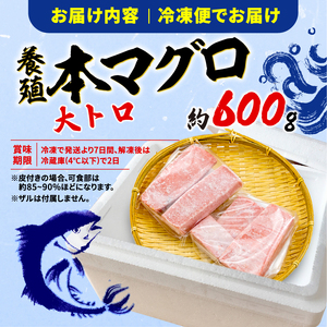 本マグロ大トロ 訳あり 約600g 【まぐろ】ge017