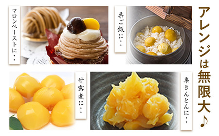 【先行予約】生栗約1kg(2L-Lサイズ)《2026年9月上旬-9月下旬頃出荷》