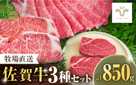 【牧場直送】佐賀牛すき焼き用500gと佐賀牛サーロインステーキ200gとヒレステーキ150g 佐賀県／有限会社佐賀セントラル牧場 [41ASAA112]