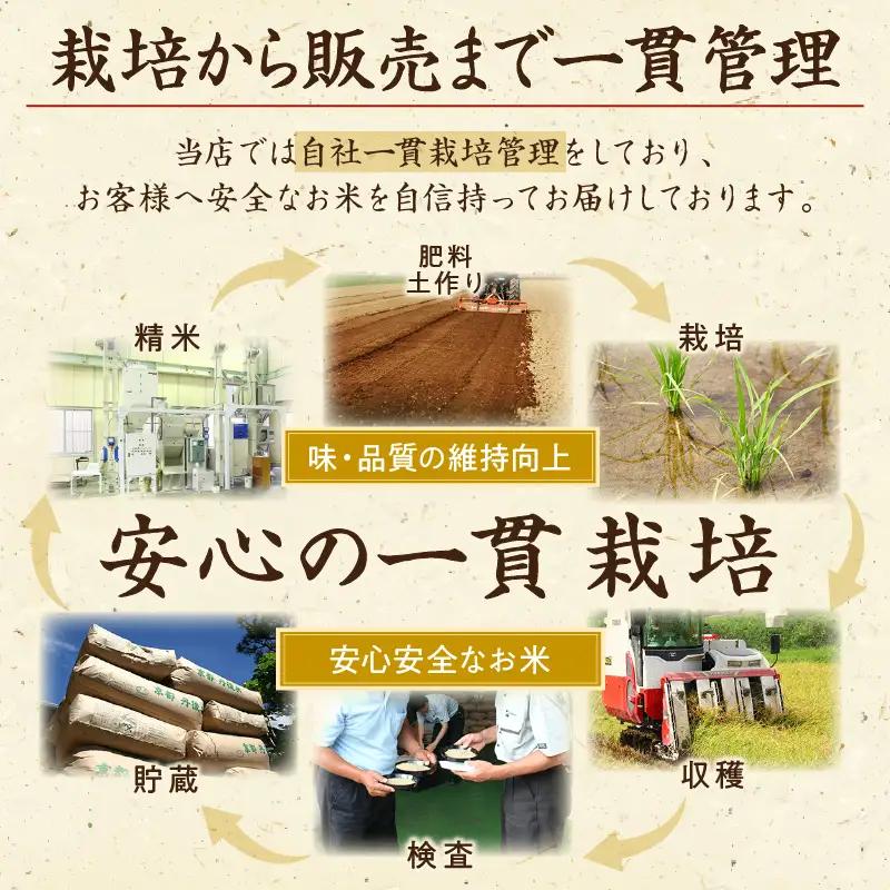 無洗米／	京都・丹後コシヒカリ 無洗米 5kg ＜創業1720年老舗米問屋がお届けする 無洗米 ＞ 作り手が見えるコシヒカリを無洗米に！ 米 無洗米、新米 無洗米、令和6年産 無洗米、お米 無洗米、こ