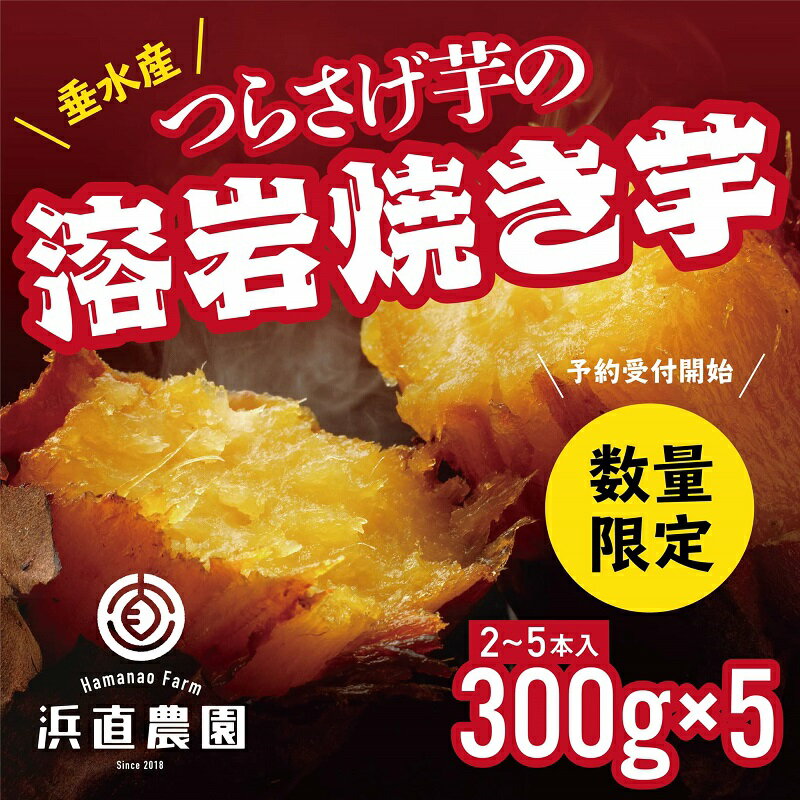 【ふるさと納税】【先行予約】【期間限定】つらさげ芋の溶岩焼き芋(300g×5パック) 高糖度の甘い焼き芋 ! デザート スイーツ 冷凍 焼芋 さつまいも お取り寄せ ギフト 贈り物 浜直農園 紅はるか 焼いも やきいも お芋 芋 鹿児島 オリジナル おやつ【浜直農園】A1-5424
