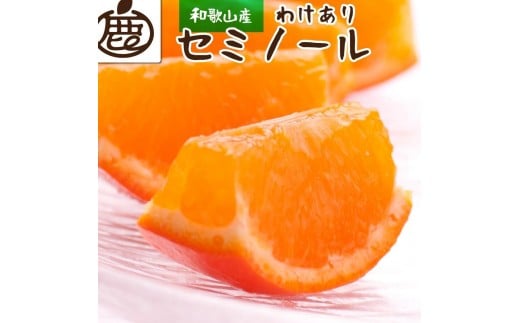 家庭用 セミノールオレンジ10kg+250g（傷み補償分）［春みかん］［訳あり］［光センサー食べ頃出荷］［IKE274］