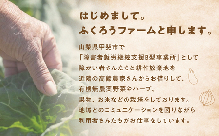 【定期便・年4回】旬のお野菜がどっさり！甲斐路の大満足お野菜セット