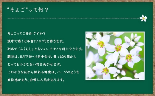 かの蜂 国産そよご蜂蜜【1kg】（とんがりポリ容器）ハーブキャンディーに似た爽快感とコクのある蜂蜜