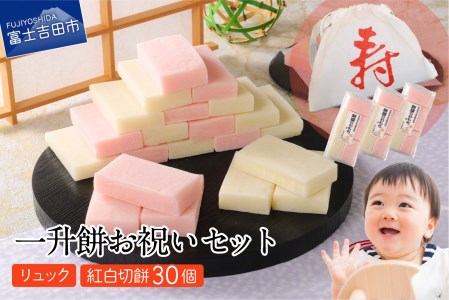 一升餅 ベビー 誕生日 お祝いセット 切餅 リュック付き 紅白もち