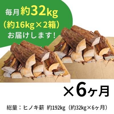 ふるさと納税 東白川村 ヒノキ薪 定期便 全6回 中〜大割 約32kg 約16kg×2箱 計192kg ヒノキ 薪 |  | 01