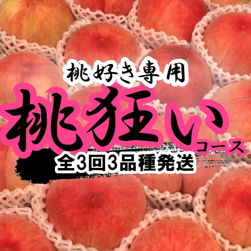 
            ＜2026年発送分先行予約＞山梨県南アルプス市産　桃狂い　【旬の桃3種】　旬を迎えた順から発送　【定期便　約1ｋｇ　全3回】 ALPAH022
          