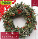 【ふるさと納税】あけび蔓 クリスマスリース Lサイズ | W-1