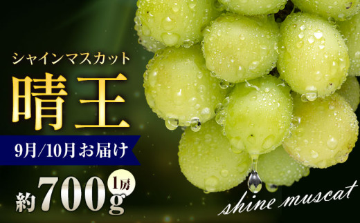 ぶどう シャインマスカット 晴王 700g 1房 彩美菜果《2026年9月上旬-11月中旬頃出荷》 マスカット 送料無料 岡山県 浅口市 フルーツ 果物 贈り物 国産 岡山県産 くだもの 果物 青果物 9月～10月発送 【配送不可地域あり】