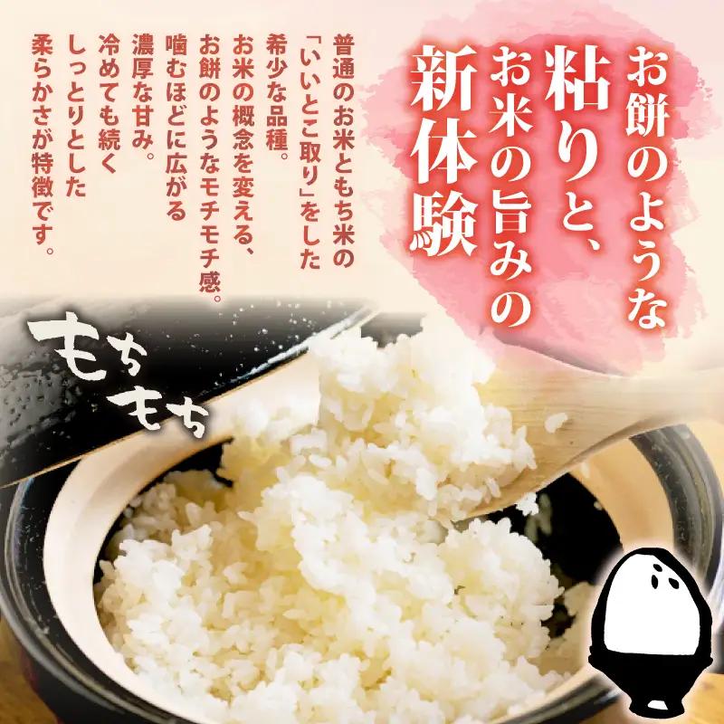 【令和8年産】新潟県産 ミルキークイーン 10kg 5kg×2袋 単品 特栽米 新潟県産 ミルキー 新発田産 新潟 ふるさと納税 米 お米 アグリ中俵 特別栽培米白米 米 お米 こめ コメ ライス ご