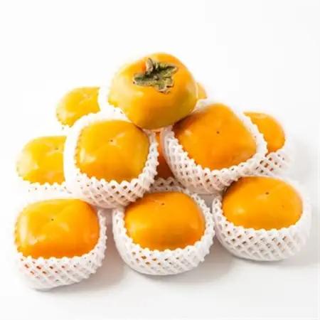 ケーズファーム　平たねなし柿　12～13個入　2L～3Lサイズ_果物・フルーツ 柿（カキ）  かき_【1147921】