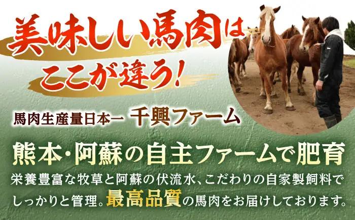 熊本 馬肉 馬肉ハンバーグ 8個（約130g/個）ハンバーグ[AYAF098]