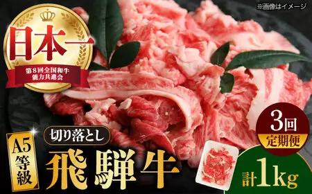 【3回定期便】【飛騨牛】A5等級切り落とし 1kg [TAZ015] 切り落とし 