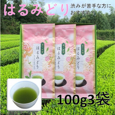 【ふるさと納税】【数量限定】渋いお茶が苦手な方から大好評!産地直送 希少品種「はるみどり」100g×3袋【配送不可地域：離島・沖縄県】【1616208】