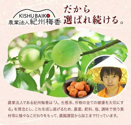 無添加梅干し ひょう被害エール規格外はちみつ梅干し 塩分6% 1kg  農業法人 株式会社紀州梅香