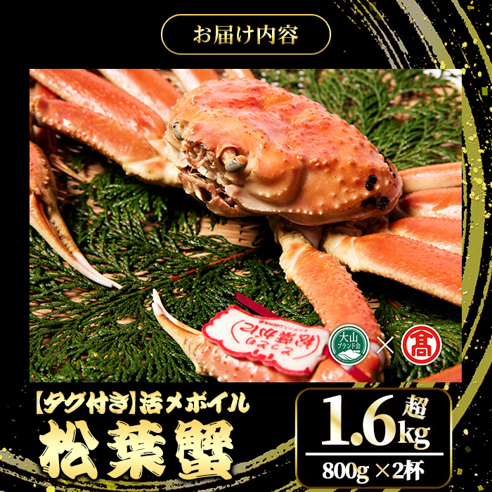 ＜土日祝着※指定日不可＞＜2025年11月～2026年2月下旬発送予定＞【タグ付き】活〆ボイル松葉蟹2杯セット(大・800g以上×2杯)【T-DT4-B】【大山ブランド会】