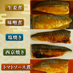 鯖 さば 5種 煮付け 焼き 詰め合わせ セット 塩焼き 西京焼き 生姜煮 味噌煮 トマト煮