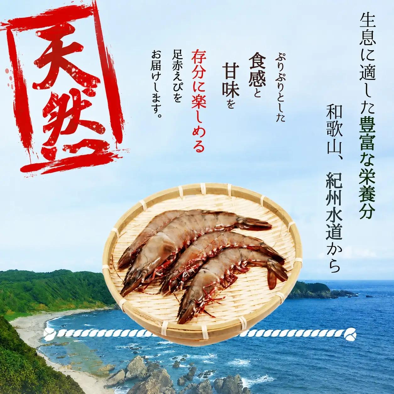 紀州和歌山産天然足赤えび540g×2箱（270g×4パック）化粧箱入 ※2026年12月上旬〜2027年2月上旬頃順次発送予定（お届け日指定不可）【uot773A】