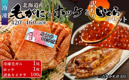 毛ガニ 冷凍 1尾 (420-460g前後)・ ホッケ 1枚・ 訳あり イクラ 100g セット AS164