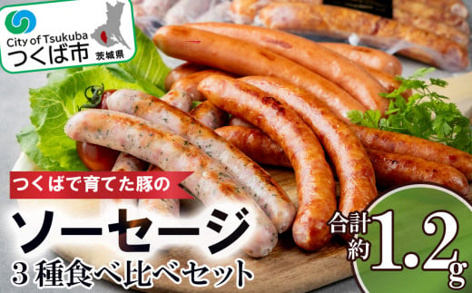 つくばで育てた豚のソーセージ３種食べ比べセット【 豚肉 おつまみ 肉 加工品 ウインナー ハム あらびき 粗びき ハーブ 茨城県 つくば市 冷蔵 セット ポーク 手作り 】