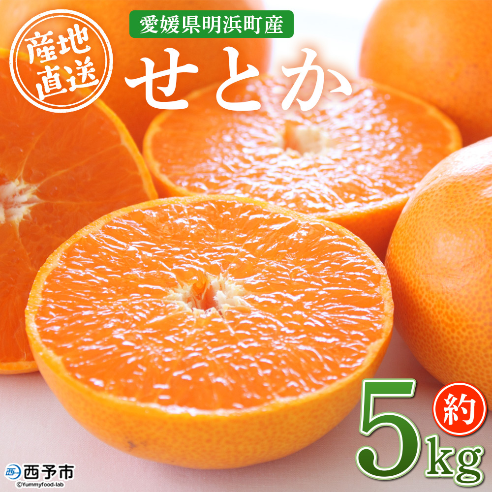 ＜産地直送！愛媛県明浜町産 せとか 約5kg＞ セトカ 果物 くだもの みかん ミカン 柑橘 フルーツ 柑橘類 果実 高級 糖度 果汁 柑橘の大トロ 甘い 国産 特産品 宇都宮農園 愛媛県 西予市