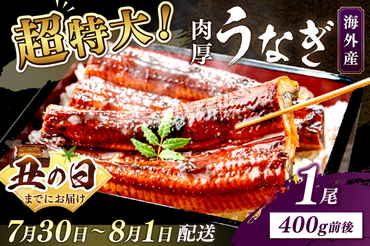 【7月30日～8月1日配送】超特大！ふっくら肉厚！うなぎ蒲焼 1尾 400g前後