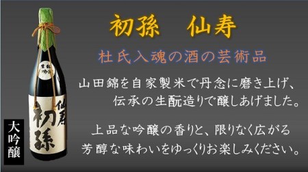 SJ0002　厳選のめちゃセット