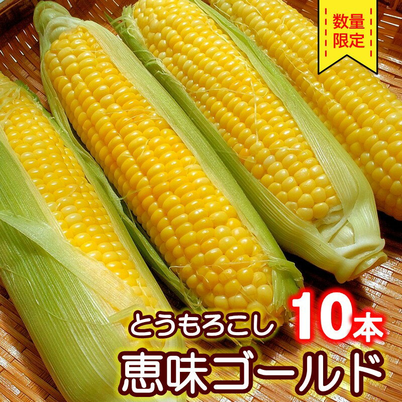 【ふるさと納税】【予約：2025年7月下旬から順次発送】とうもろこし 恵味ゴールド 10本