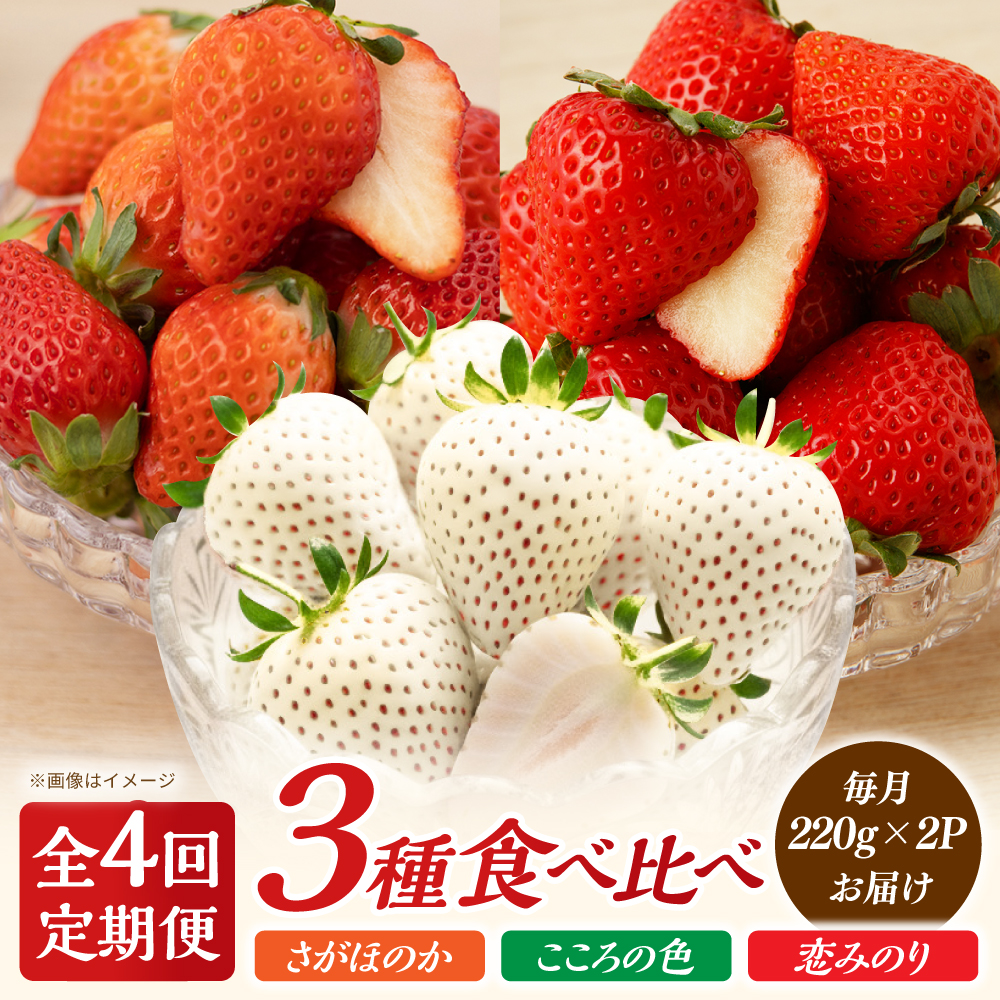 【先行予約】【4回定期便】さがほのか・恋みのり・こころの色 220g×2パック×4回  【鐘ヶ江農園】 [IBH019]