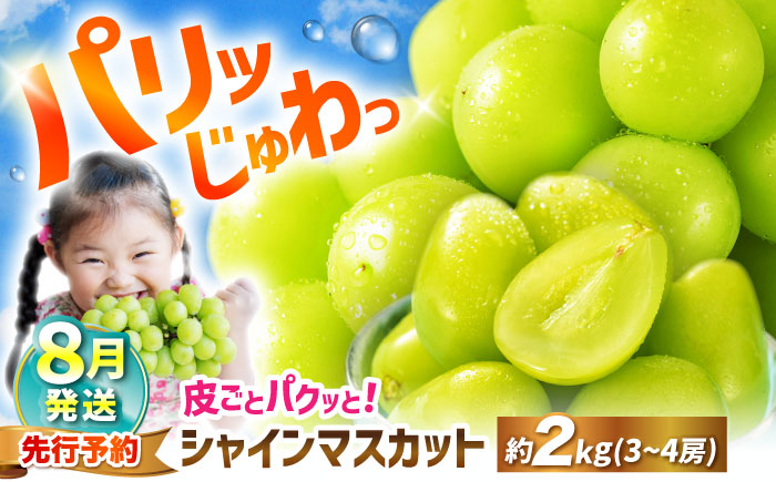 【2025年8月発送】 シャインマスカット 約2kg（3～4房）＜濱崎農園＞ [CGN003]