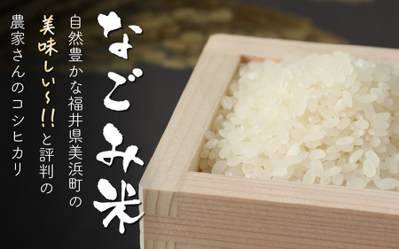 「なごみ米」令和6年産 コシヒカリ 5kg ＆ 手製マスク & 巾着 & お手玉 セット[m12-a009]