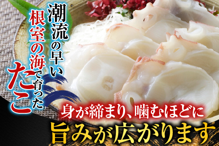 【北海道根室産】たこ足800g前後～1.4㎏前後×1本 A-76028