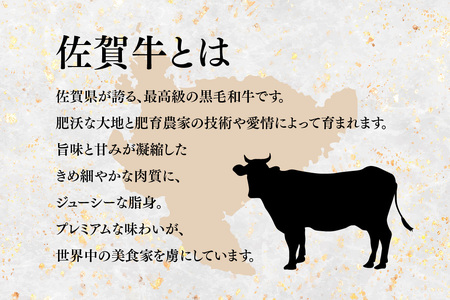 佐賀牛【希少部位・数量限定】ミスジステーキ(約100g×10枚)(H107115)
