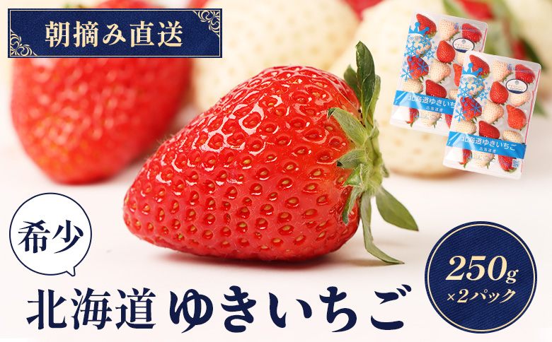 【北海道産】ゆきいちご（ゆきぼたん/紅ほっぺ）赤白ＭＩＸ×２Ｐセット 250g×2 計【59003】