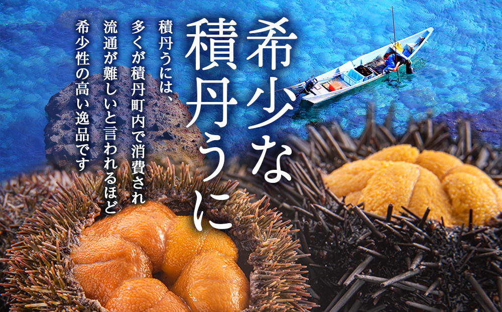 【2026年夏発送分】 ムラサキウニ 1パック 大川商店