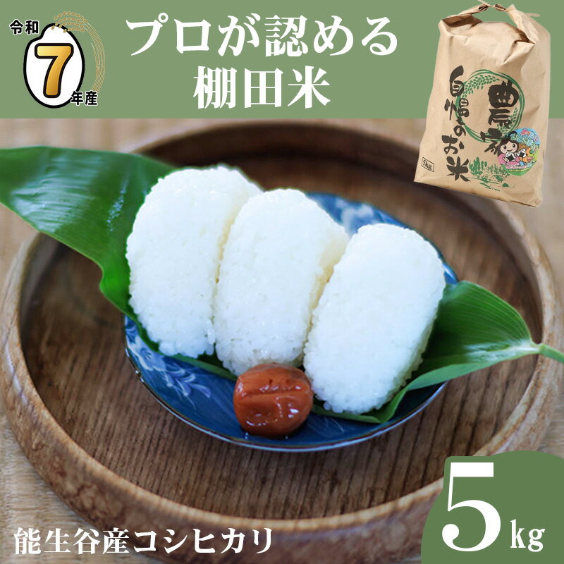 【ふるさと納税】米 新米【令和7年産 新米】コシヒカリ 5kg 新潟県産 農家直送 プロが認める 棚田米 糸魚川 能生谷産 こしひかり 農業生産法人 JATs有限会社 美味しい 農家自慢 お米 白米 おにぎり お弁当 2025年