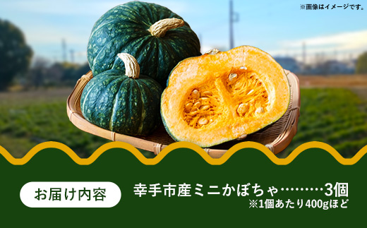 【きあり農園】2026年度 幸手市産 ミニかぼちゃ 3個 - カボチャ 南瓜 栗てまり 産地直送 野菜 ベジタブル 美味しい おいしい 緑黄色野菜 使いやすい 国産 おすすめ 送料無料 埼玉県 幸手市