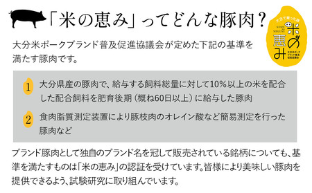 「米の恵み」豚バラセット (焼肉・しゃぶしゃぶ) 約1kg お肉 豚肉 ブランド豚 惣菜 おかず 炒め物 冷凍 大分県産 九州産 中津市 熨斗対応可 お歳暮 お中元 など