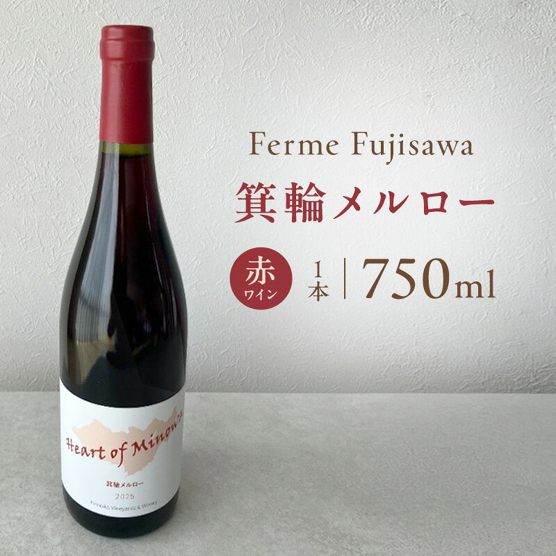 【ふるさと納税】キリノカ 箕輪メルロー2025　赤ワイン ワイン