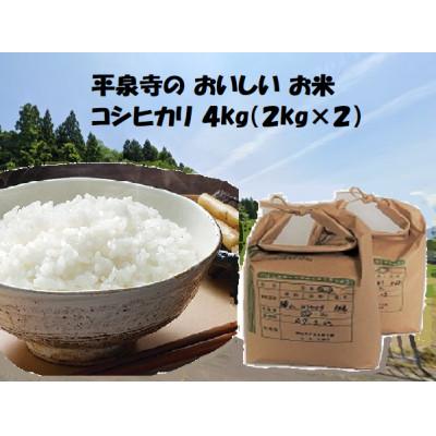 ふるさと納税 勝山市 【2025年10月上旬より順次発送予定】【令和7年度産】コシヒカリ4kg